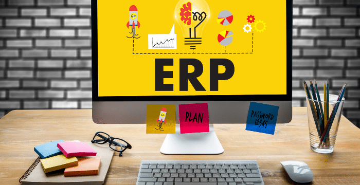 Traditional ERP Life Cycle