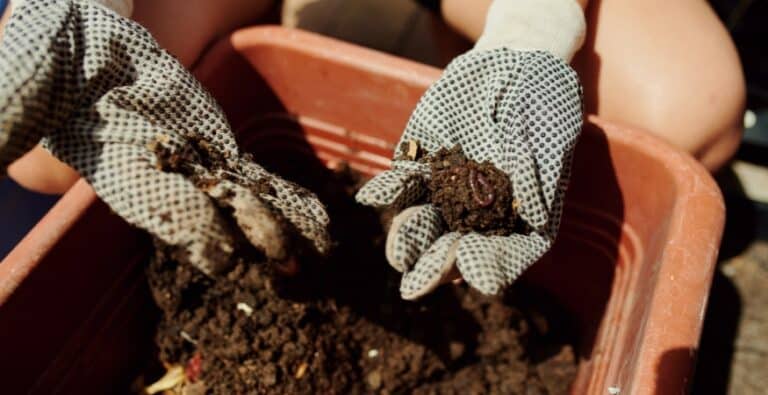 Aplikasi Gudang Pupuk Indonesia: Manfaat dan Kelebihannya