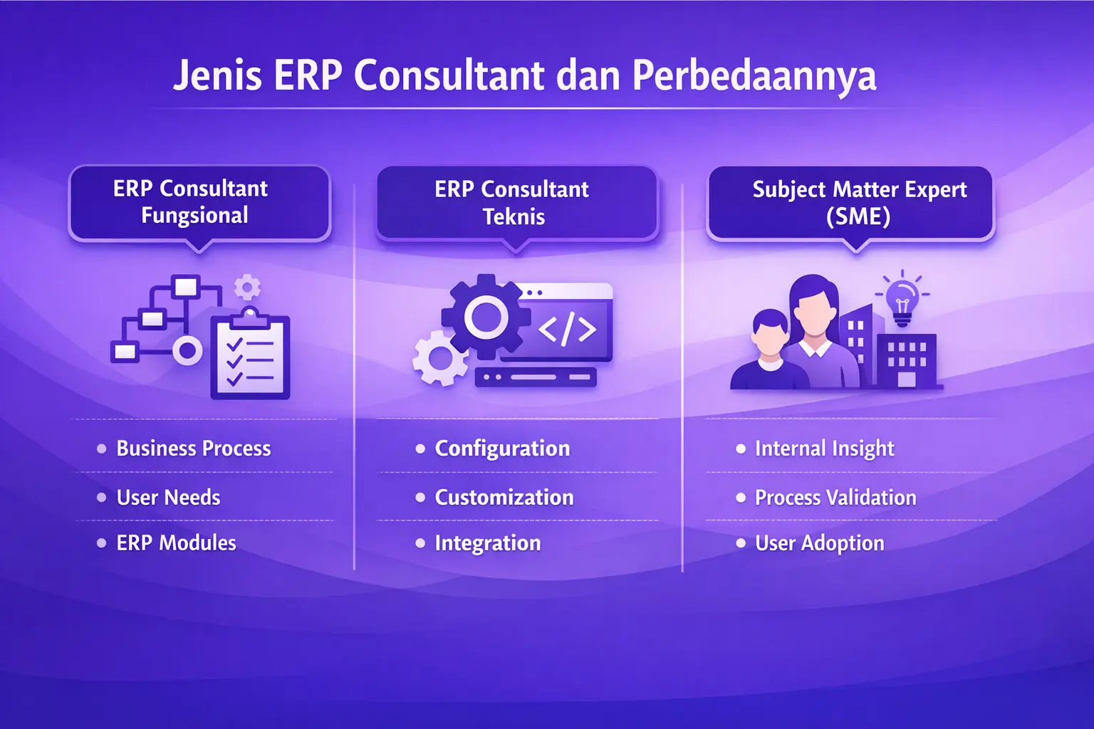erp consultant