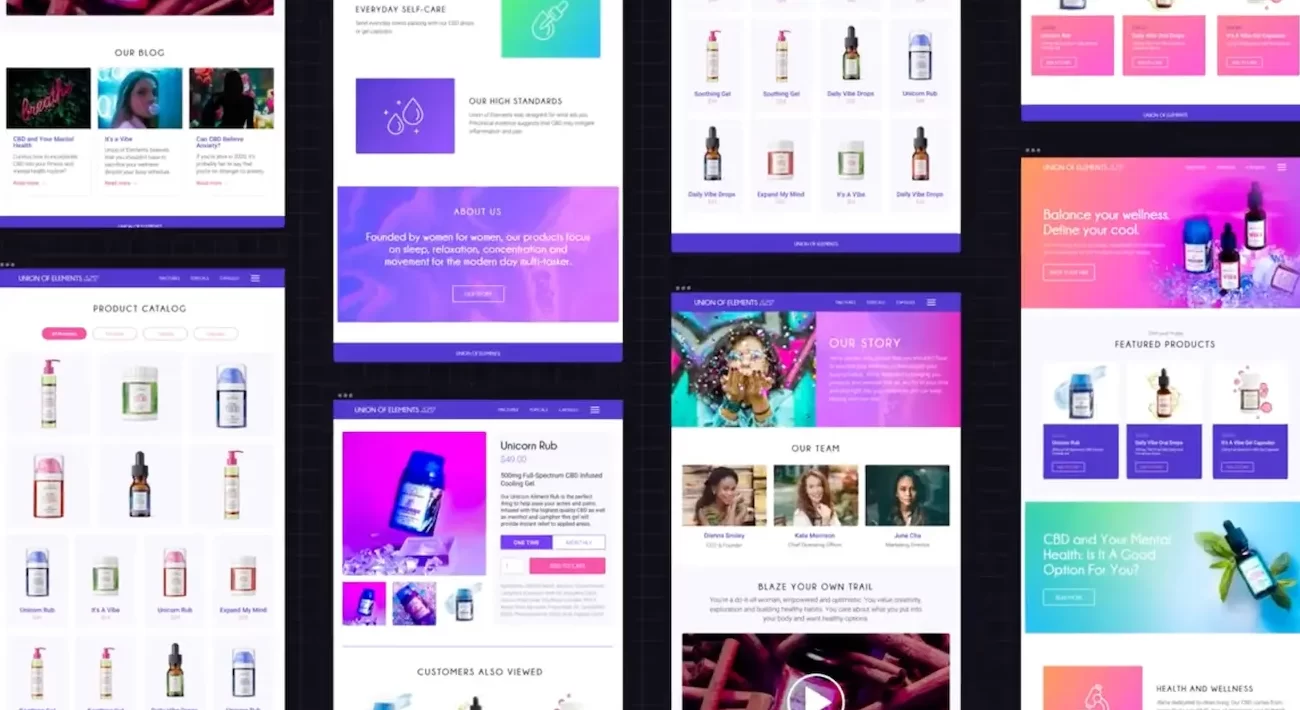 software omnichannel indonesia bigcommerce
