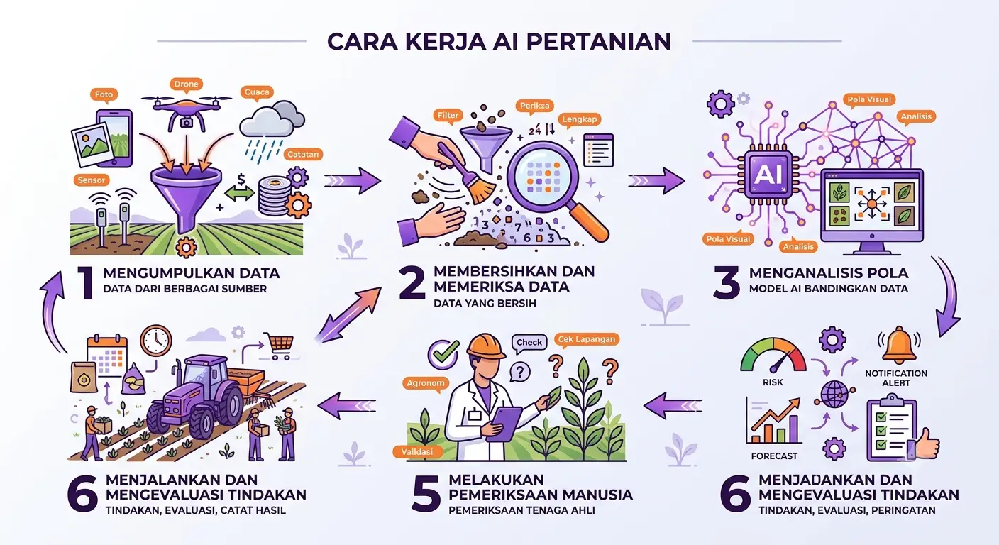 infografis cara kerja ai pertanian