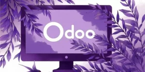 harga software odoo