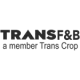trans f_b